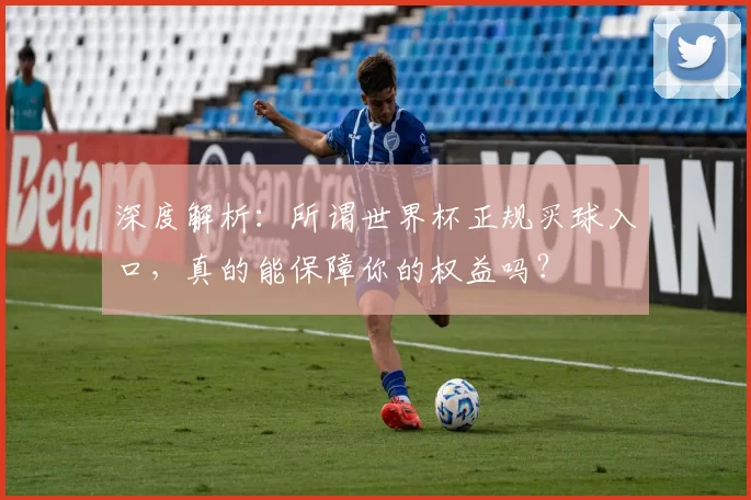 深度解析:所谓世界杯正规买球入口,真的能保障你的权益吗?