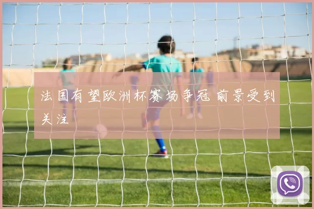 法国有望欧洲杯赛场争冠 前景受到关注