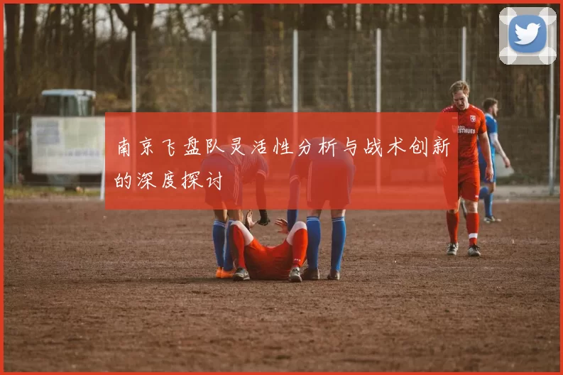 南京飞盘队灵活性分析与战术创新的深度探讨
