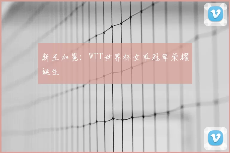 新王加冕：WTT世界杯女单冠军荣耀诞生