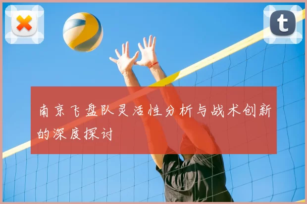 南京飞盘队灵活性分析与战术创新的深度探讨
