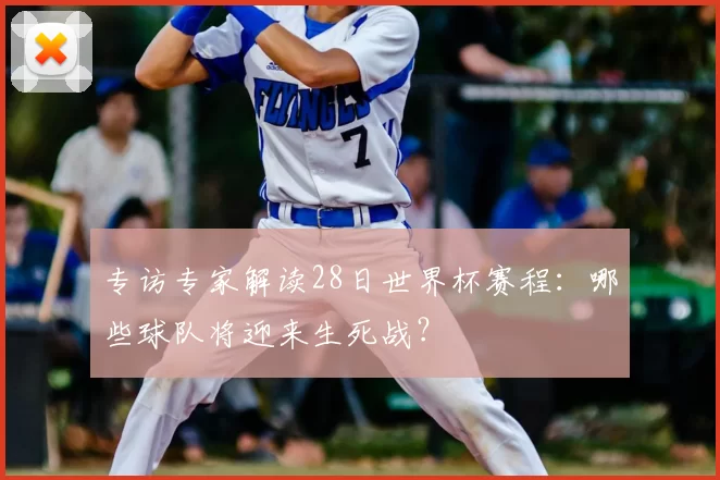专访专家解读28日世界杯赛程：哪些球队将迎来生死战？