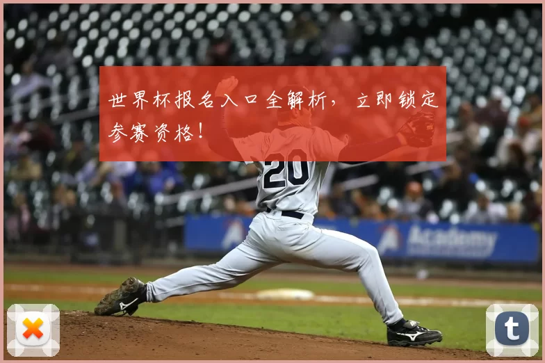 世界杯报名入口全解析,立即锁定参赛资格!