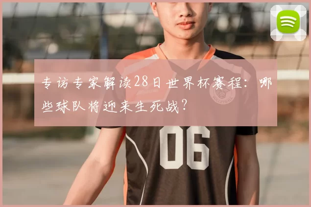 专访专家解读28日世界杯赛程：哪些球队将迎来生死战？