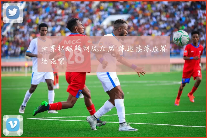 世界杯球踢到观众席 球迷接球成赛场花絮