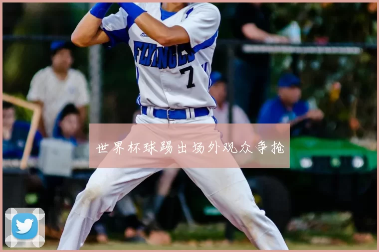 世界杯球踢出场外观众争抢