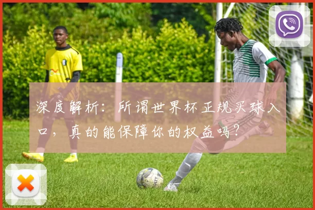 深度解析:所谓世界杯正规买球入口,真的能保障你的权益吗?