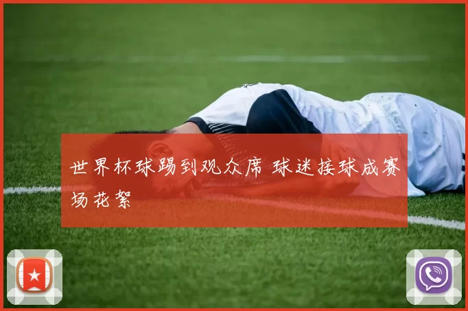 世界杯球踢到观众席 球迷接球成赛场花絮