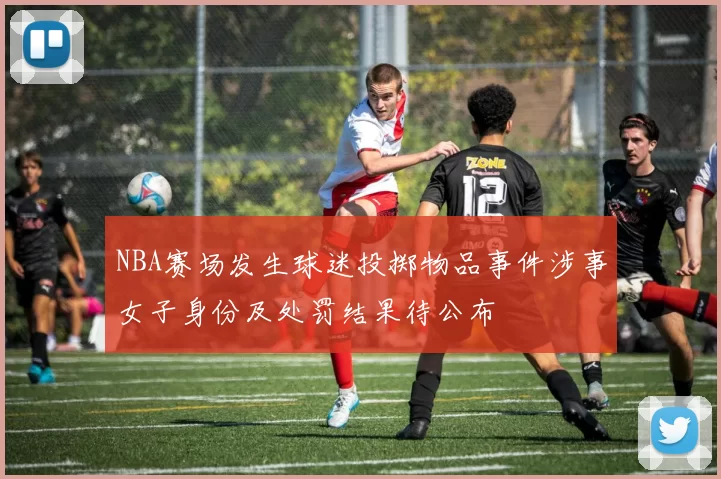 NBA赛场发生球迷投掷物品事件涉事女子身份及处罚结果待公布